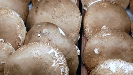 Heap-of-champignon-mushrooms,-close-up-,