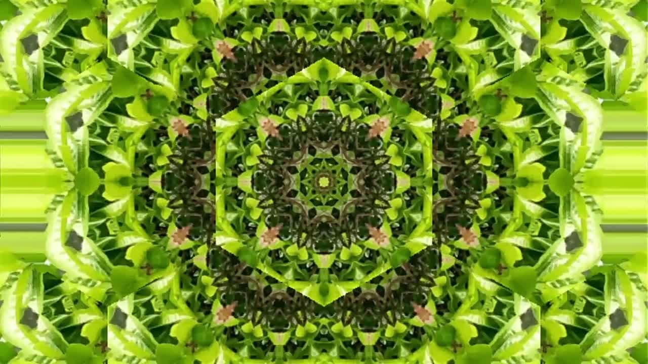 video abstracto que brilla, luz brillante que arregla movimientos sutiles de colores con una forma de flor, fondo negro