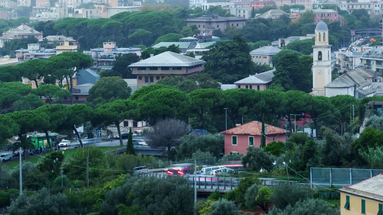 Aerial View of a Town with Lush Greenery and Buildings