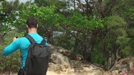 active male hiker walking on a mountain forest trail - rear tracking