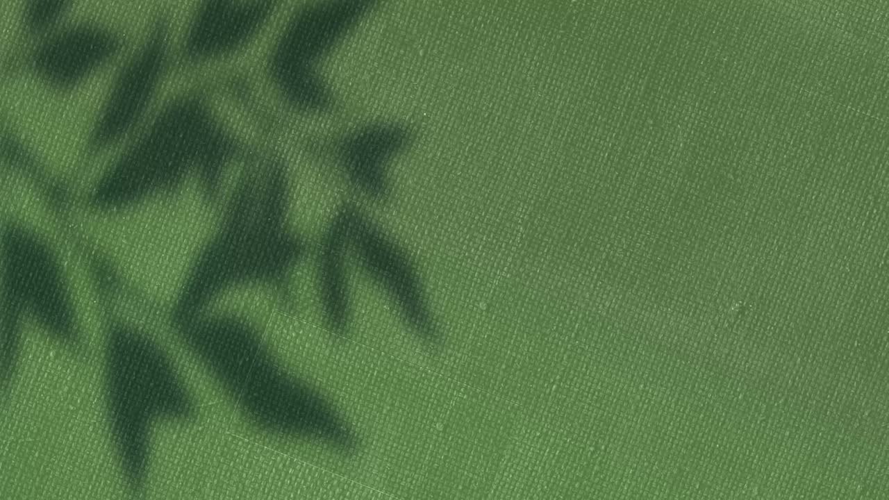 Animation of leaf shadows swaying over changing green canvas texture