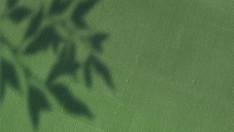 animation of leaf shadows swaying over changing green canvas texture