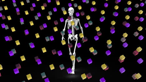 skeleton standing with colorful cubes floating in black background animation