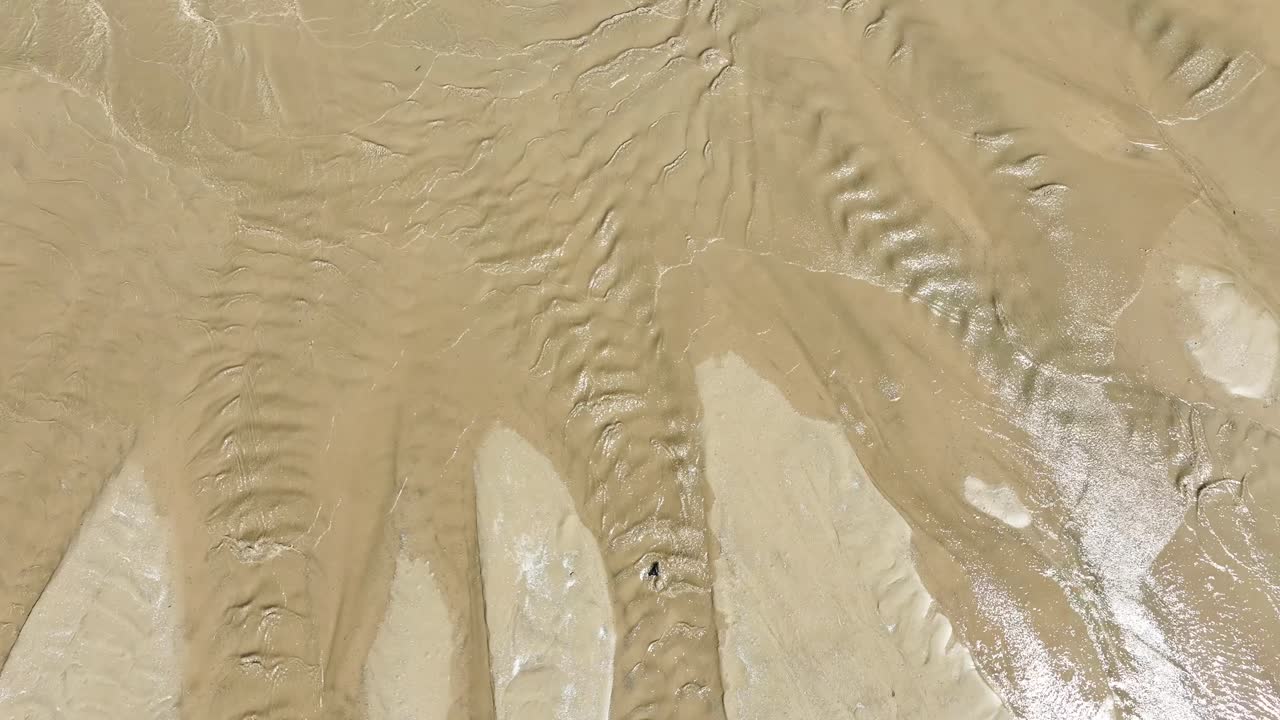 강화된 해안선을 따라 앞으로 추적