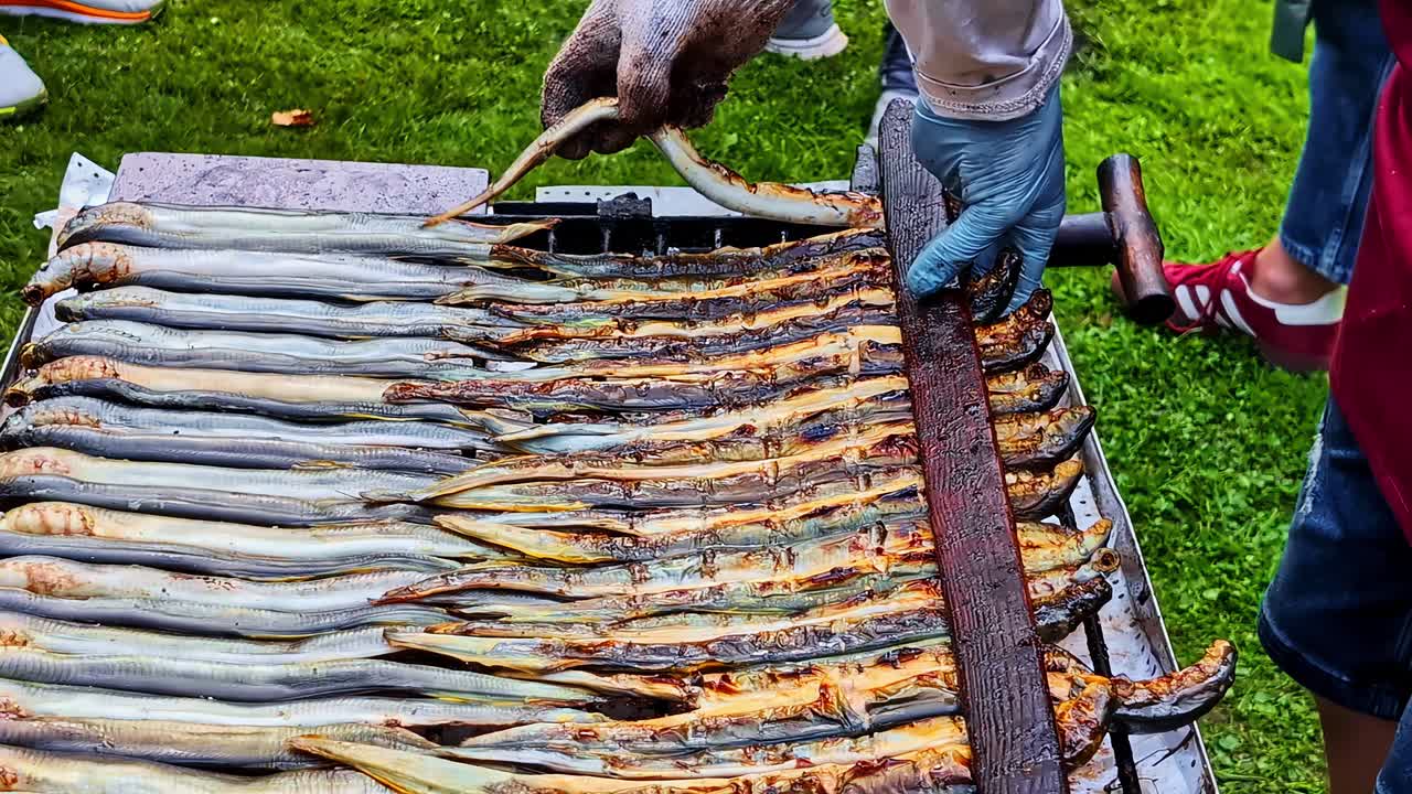 Lamprey fish festival Latvia eel grill smoked cooking in Carnikava Baltic specialities food