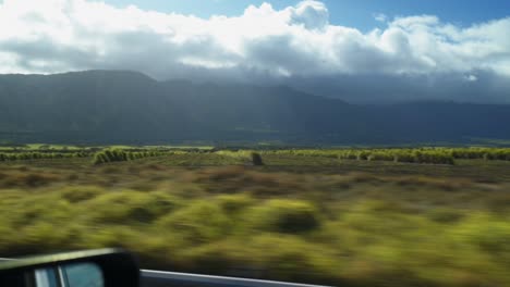 esta es una toma de un paisaje desde un automóvil en la isla grande de hawaii