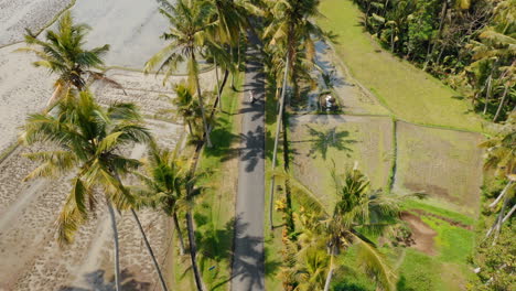 vista superior pareja de viaje en motocicleta en una isla tropical con campos de arroz disfrutando de un viaje de vacaciones en motocicleta