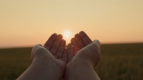 woman raising her palms to the sun