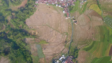 Aerial-top-down-view-of-agricultural-areas-experiencing-drought