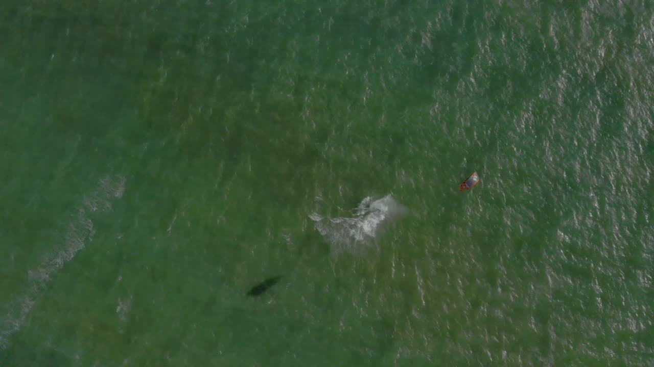 여름은 바다에서 보내기 위해 만들어졌어