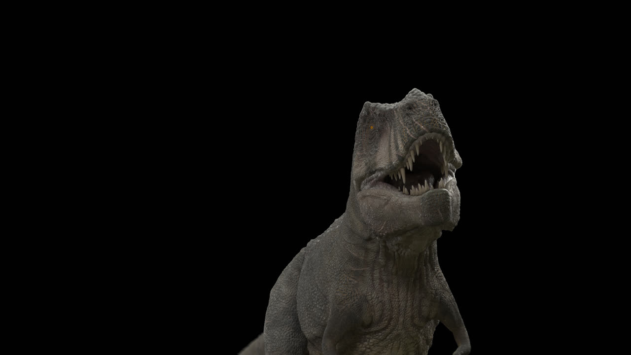 dinosaurio trex bucle caminando con el canal alfa