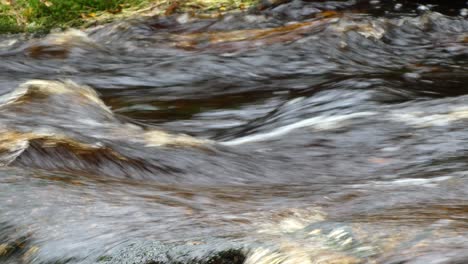 tranquil autumn-winter woodlands with a meandering stream over rocks, shaping small waterfalls