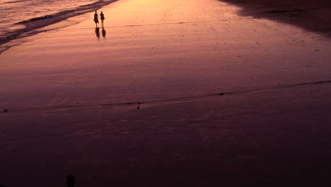 friends run together at beach sunset 4k