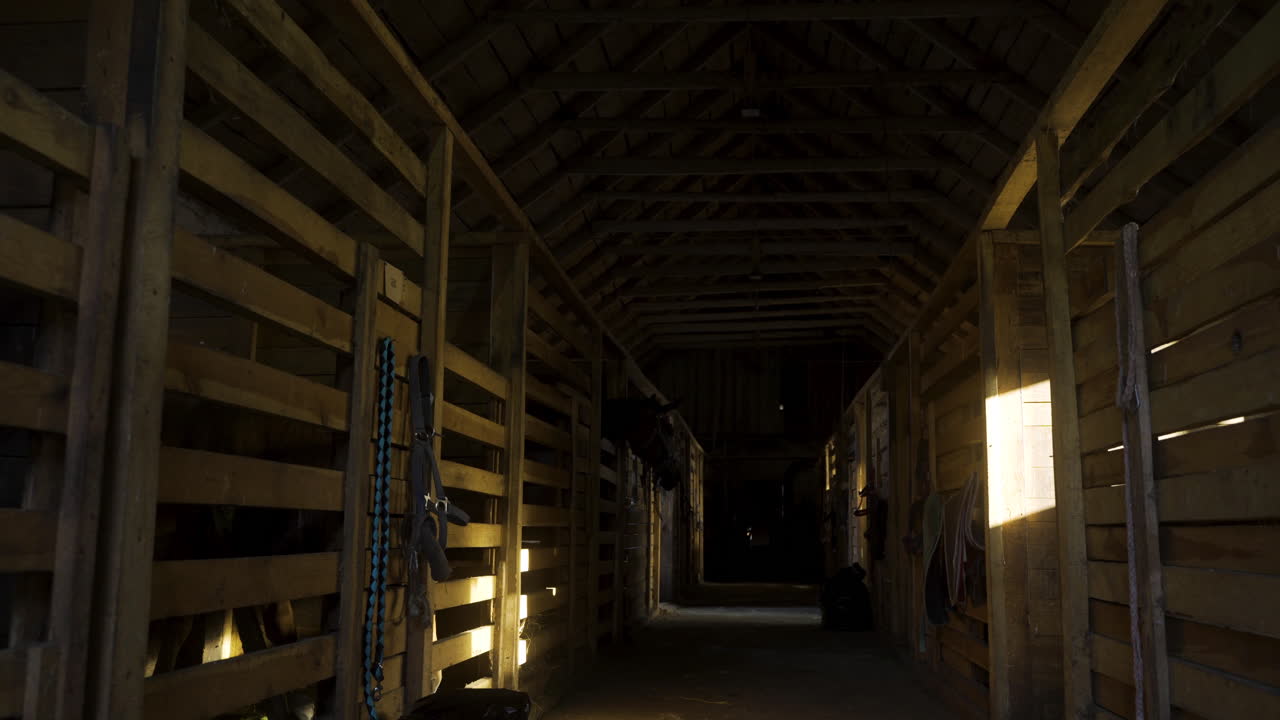 그림자 안에서 안정적이죠