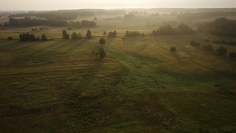 aerial trucking shot of the endless meadows lit by the morning sun with gentle mist over the ground