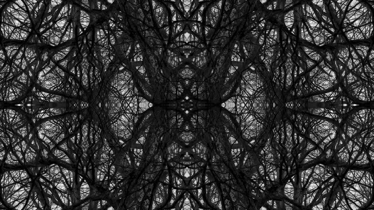 árboles en simetría - en bucle