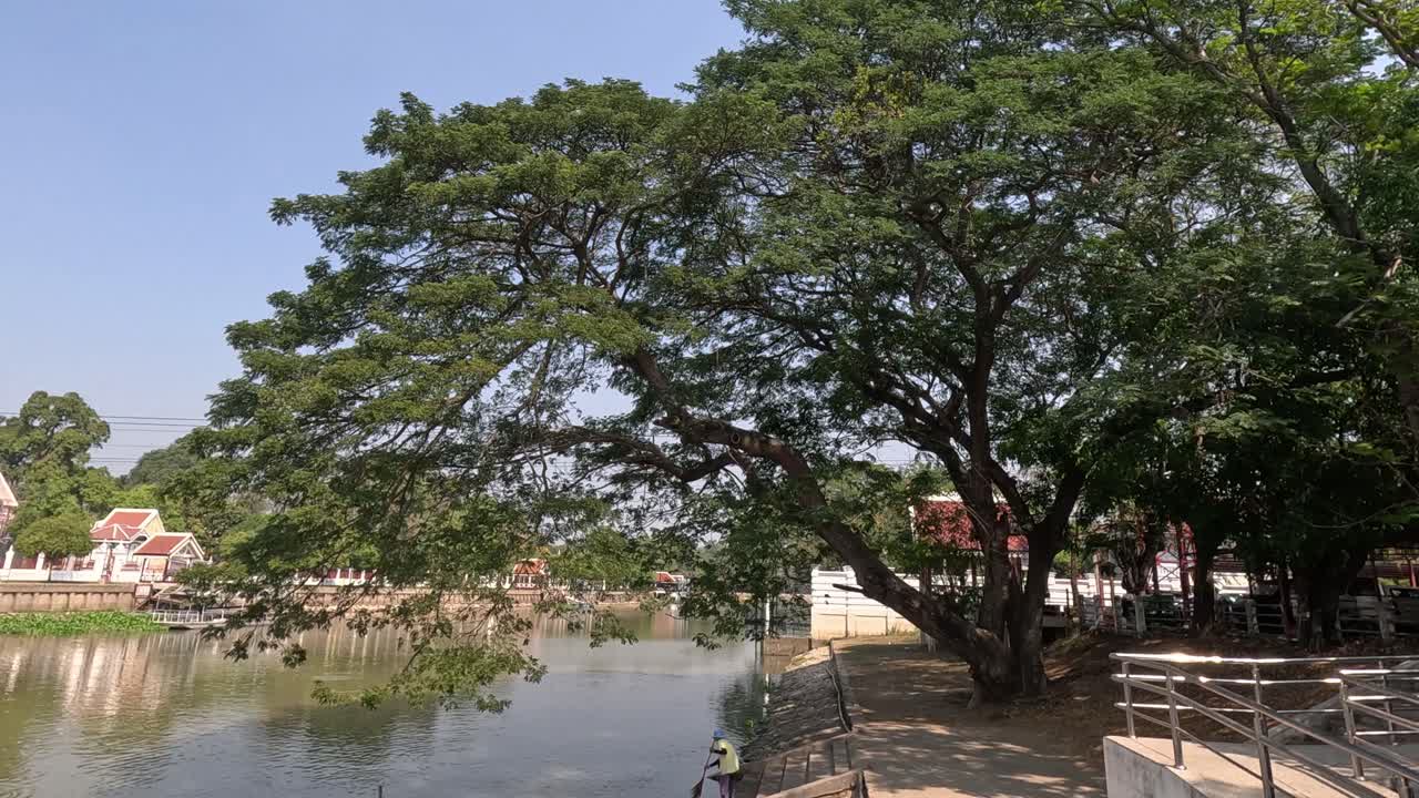 el paso del tiempo en un entorno tranquilo a la orilla del río