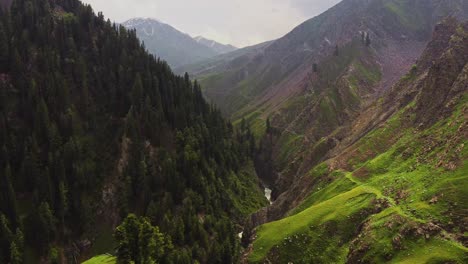 vista aérea del valle montañoso con pinos y prado verde cerca de la carretera mughal, peer ki gali, cachemira