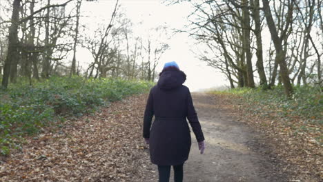 A SLOW MOTION GIMBAL SHOT FROM LOW TO HIGH of a woman walking through the woods on a footpath.
