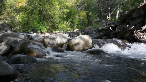 Wasser-Fließt-über-Felsen-In-Einem-Wald