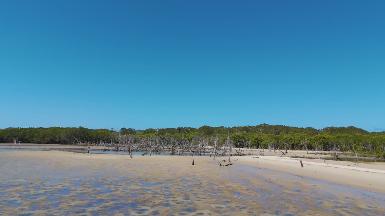 모래, 물, 맹그로브 를 공중 에서 볼 수 있다