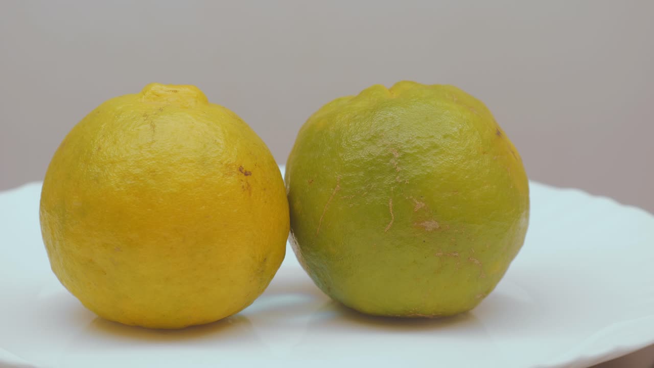 Two fresh oranges—one golden yellow and one greenish—gently rotate on a white display plate, revealing their textured skins and natural color variations