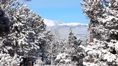 a timelapse view of the ridgeline leading up to mount rosalie through a narrow gap in the pine trees