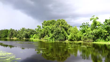 Couturie-Forest-Canal-En-City-Park-En-Nueva-Orleans,-Luisiana