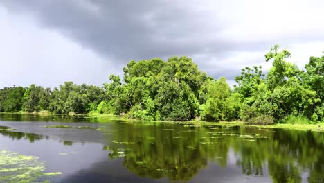 canal del bosque de couturie en el parque de la ciudad de nueva orleans, louisiana