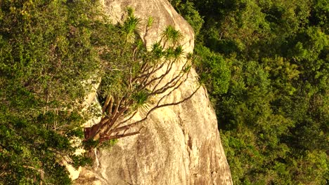 Acantilado-De-Roca-Costera-Empinada-Con-Una-Exuberante-Vegetación-Tropical-De-Bosque-Denso