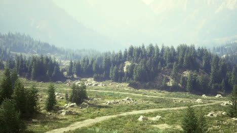 a tranquil view of a mountain valley featuring a winding path