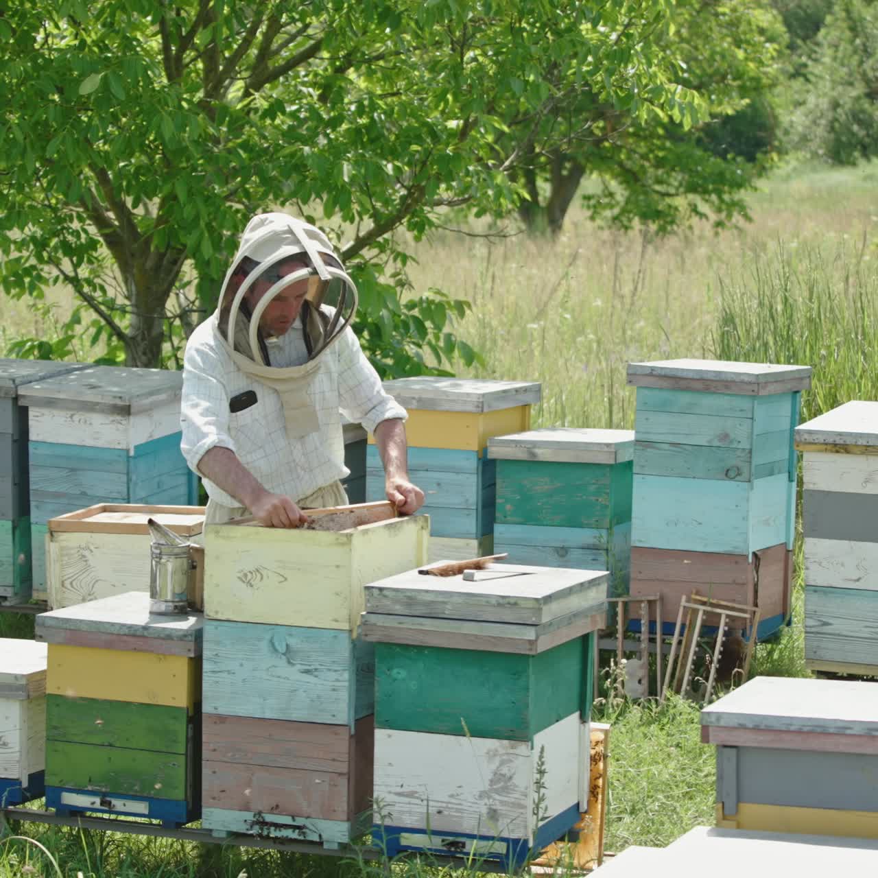 Beekeeper tending to beehives in a field