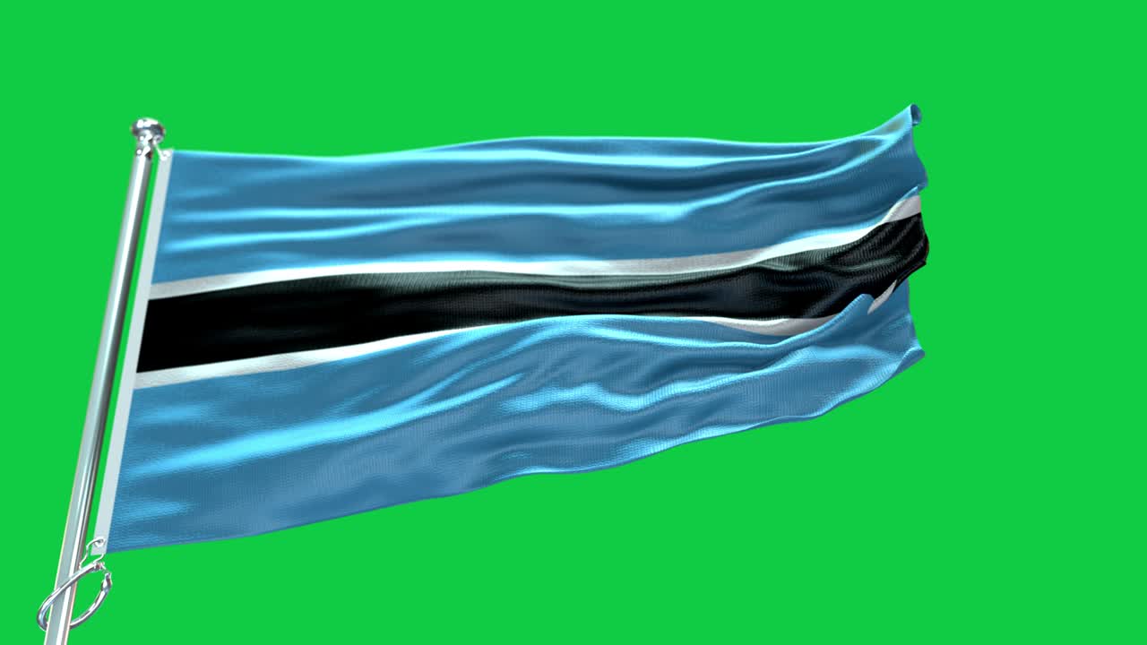 보츠와나의 발 - 보츠바나 발 높은 세부 사항 - 국가 발 보츠와na 파동 패턴 loopable 요소