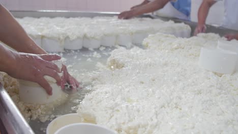 los trabajadores retiran el líquido de leche fermentada no utilizado de la fuente del queso