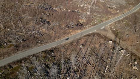 motor cyclist driving through a large wildfire area in sweden