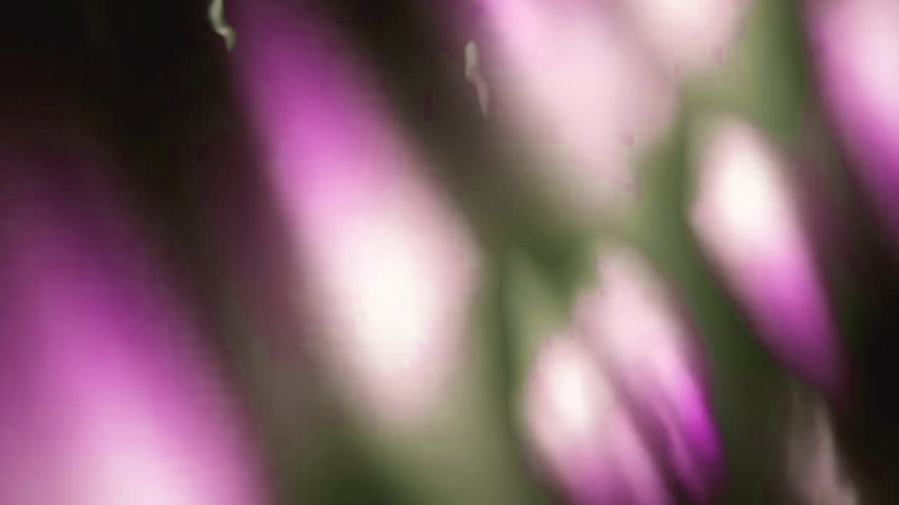 Abstrakt lilla og grøn lyslækage bokeh baggrund