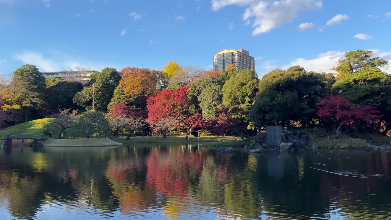 Wide open lake with fall colors on blue sky day