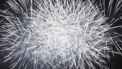 espectáculo de fuegos artificiales coloridos en el cielo nocturno