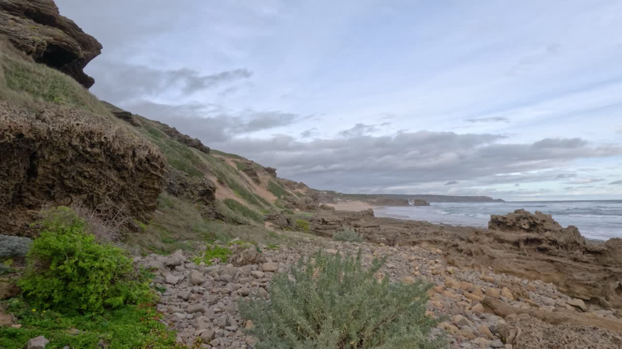 costa rocosa con olas y vegetación