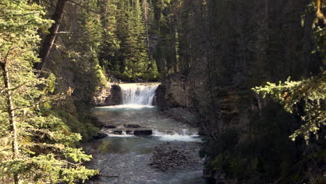 Un-Arroyo-En-Medio-Del-Bosque,-Con-Una-Gran-Cascada-Cayendo-En-La-Parte-De-Atrás