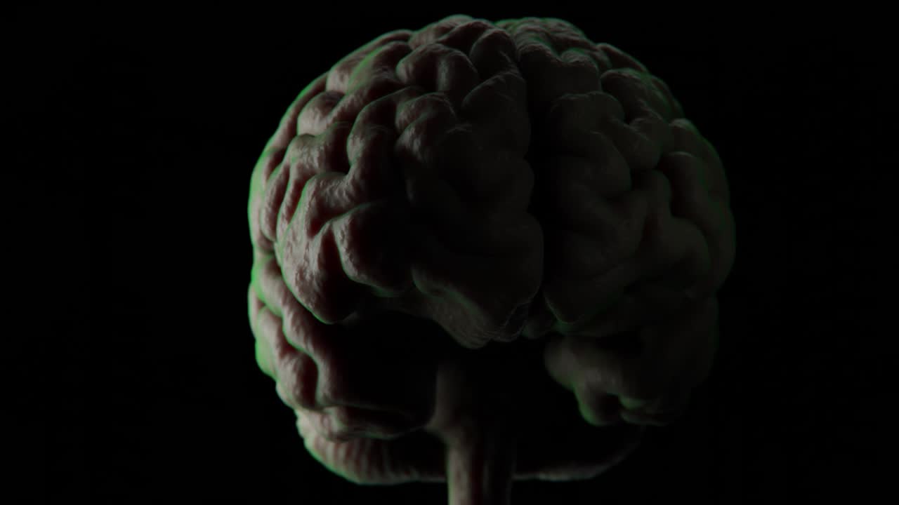 NOVO BRAIN | Novo hjernevisualisering | hjernevisualisering i 4K.