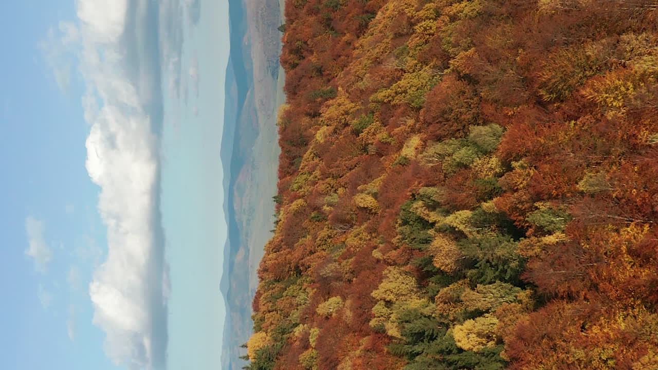 Sorvolo sopra una montagna boscosa in autunno verso una città in una valle distante