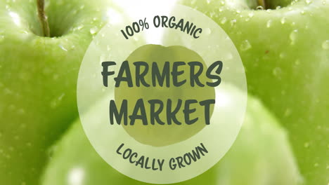 100 percent organic farmers market locally grown text animation over green apples background