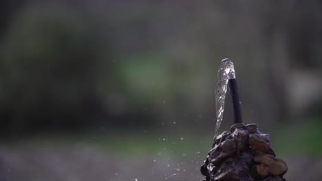 close up shot of tiny water fountain splashing water during daytime and forest in background