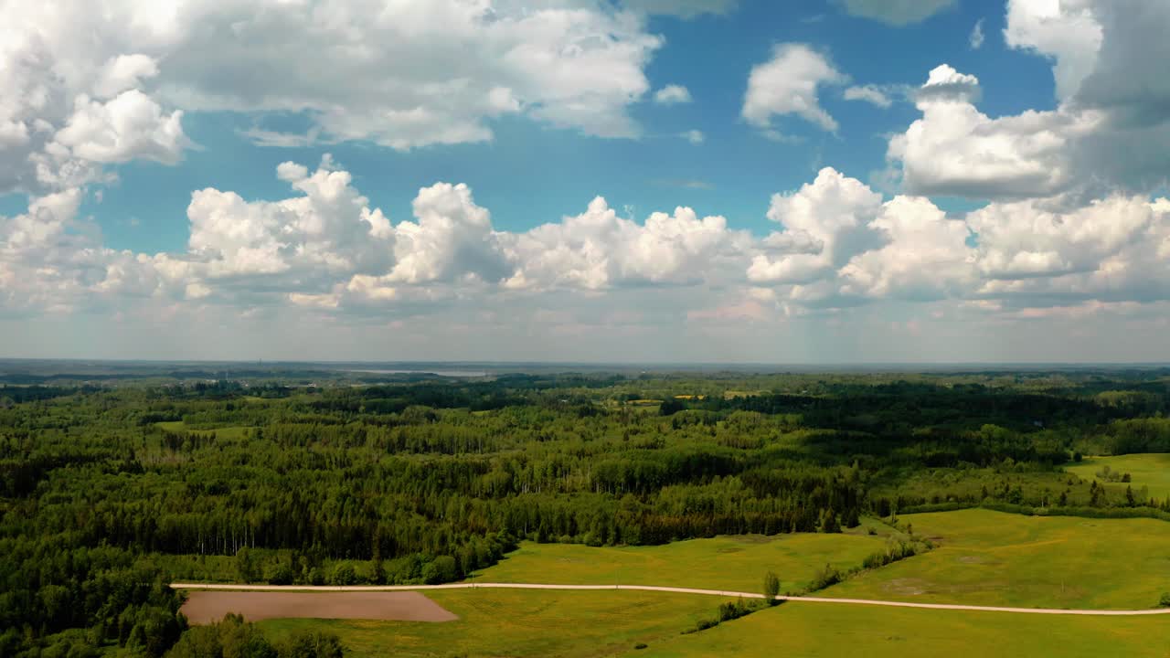 vista aérea de un bosque en un campo verde