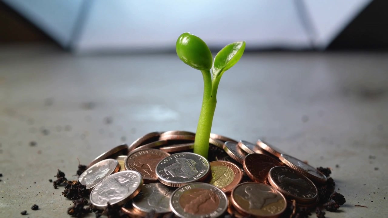 Aikaviivekuvaus taimen nousemisesta, avautumisesta ja itämisestä pöydällä kolikoiden ja mullan ympäröimänä.