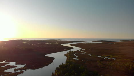 Cinematic-aerial-footage-of-a-drone-flying-over-a-winding-river-flowing-towards-the-ocean-in-a-beautiful-tropical-forest-with-palm-trees-and-vegetation