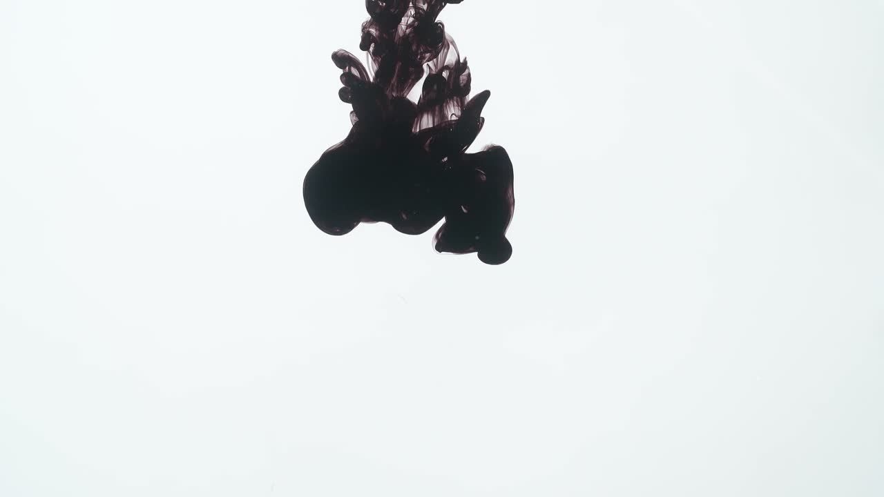 Black Ink Drop Into Water On A White Background