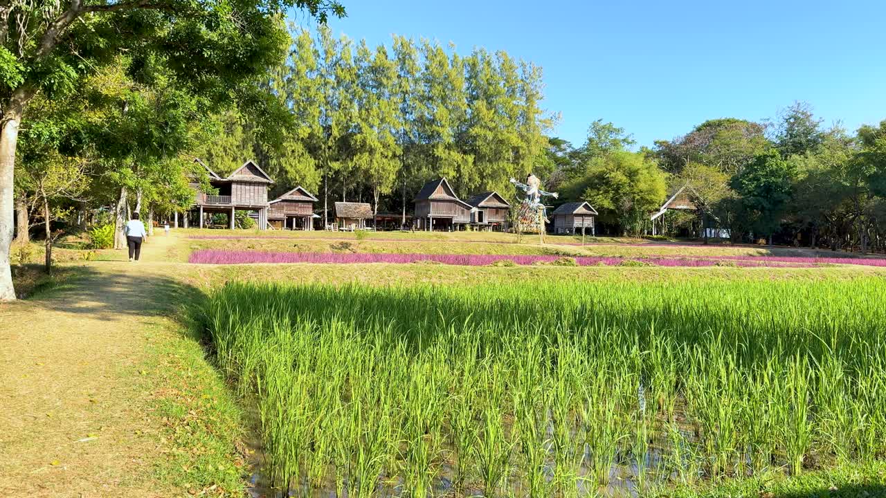 경치 좋은  들 을 따라 고 있는 사람