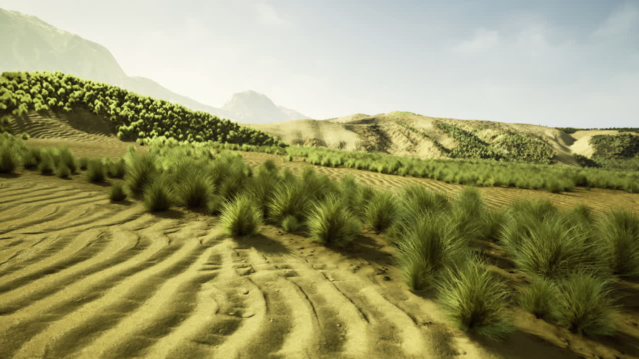 Vast landscape with rolling hills and lush vegetation in bright sunlight
